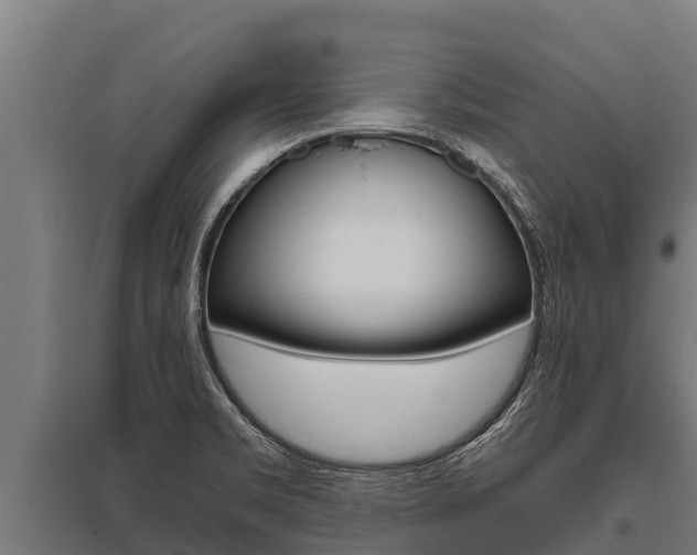 X0000096141469200801180841
