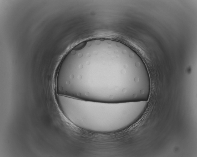 X0000096141471200801180841