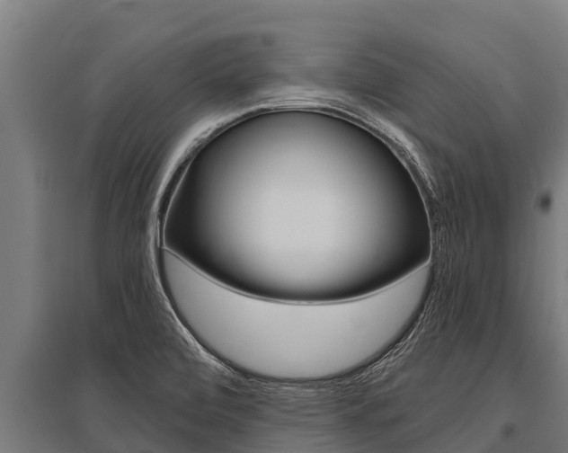 X0000096141472200801180841