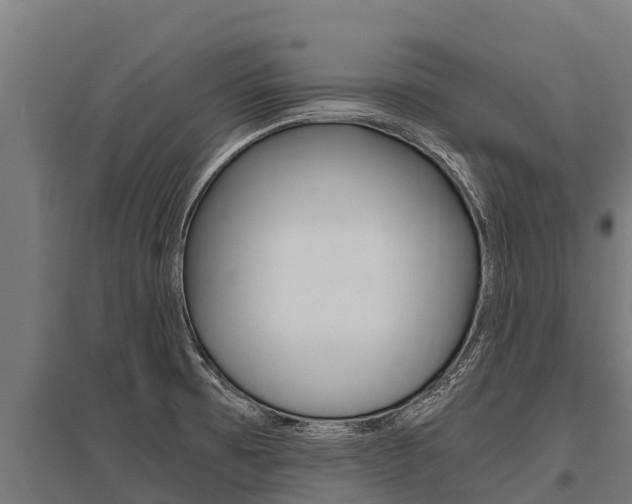 X0000096141473200801180841