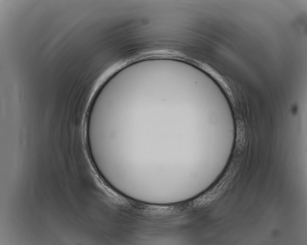 X0000096141474200801180841