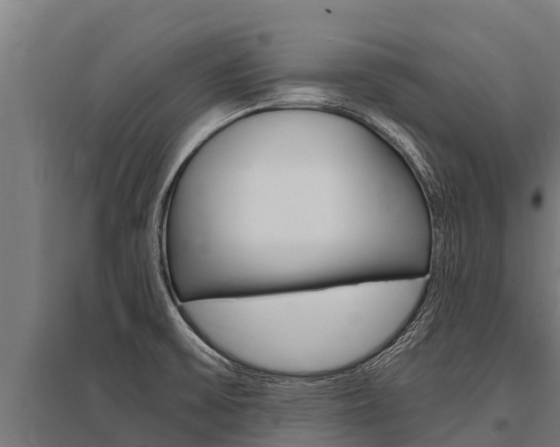 X0000096141475200801180841
