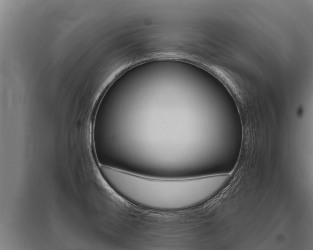 X0000096141476200801180841