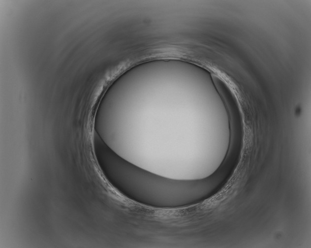 X0000096141477200801180841