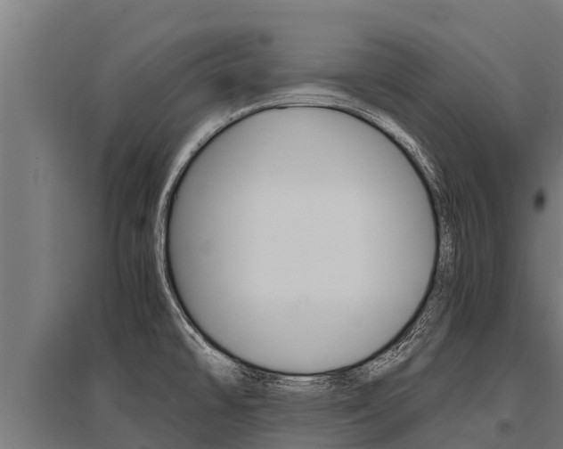 X0000096141478200801180841