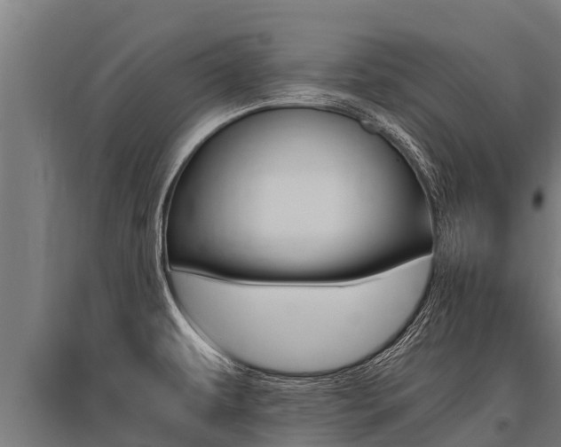 X0000096141479200801180840