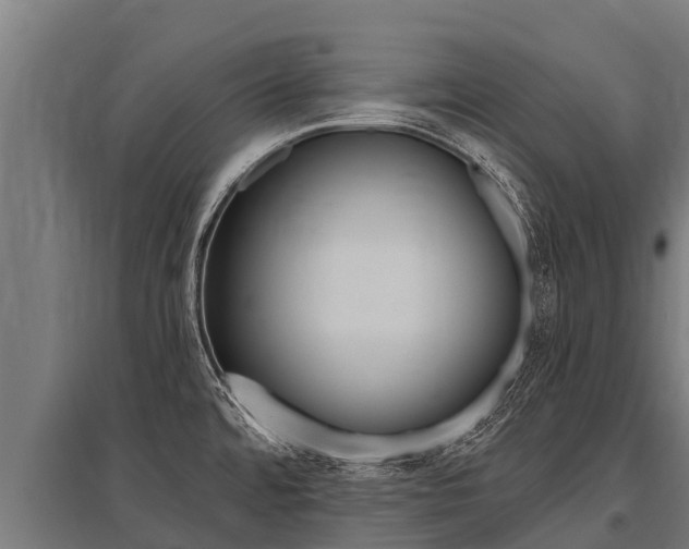 X0000096141480200801180840
