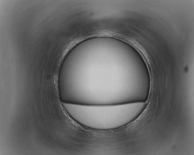 X0000096141481200801180840