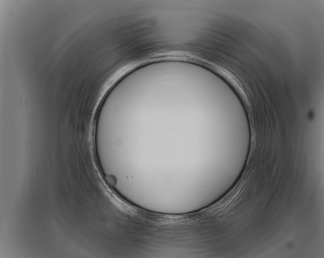 X0000096141482200801180840