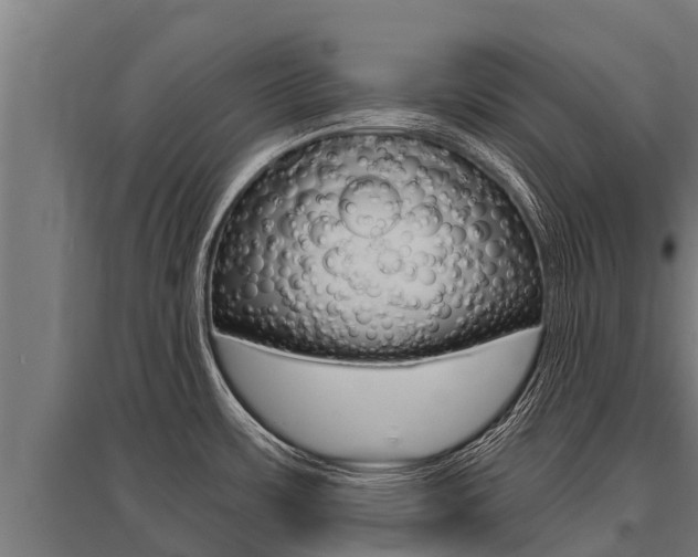 X0000096141483200801180840