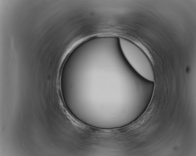 X0000096141485200801180840