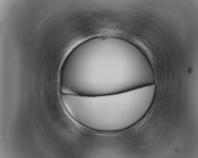X0000096141487200801180840