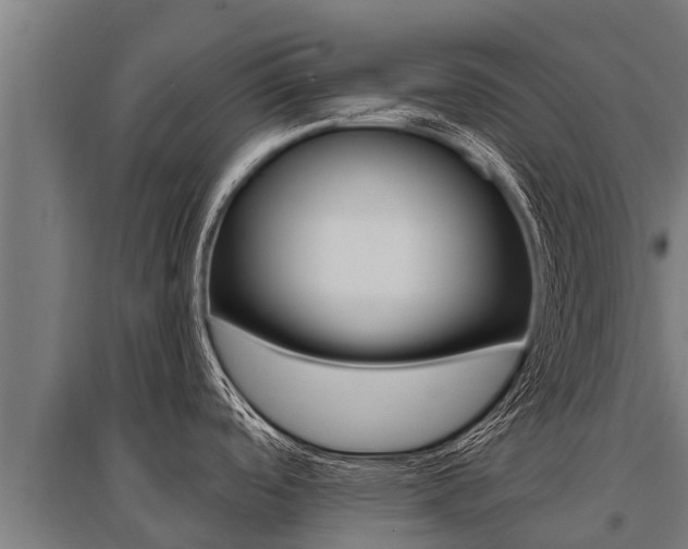 X0000096141488200801180840