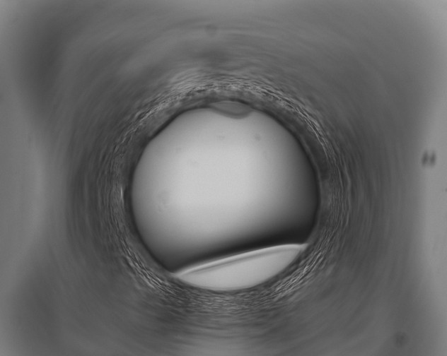 X0000096141489200801180840