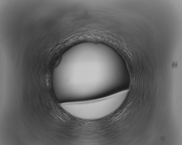 X0000096141490200801180840