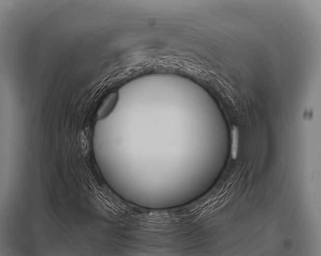 X0000096141491200801180840