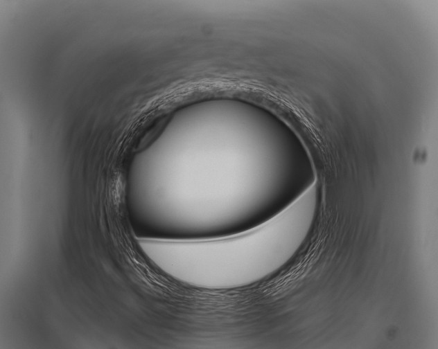 X0000096141492200801180840
