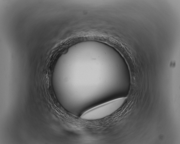 X0000096141493200801180840