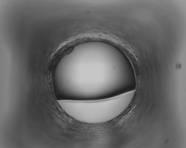 X0000096141494200801180840