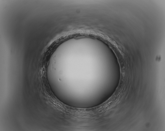 X0000096141495200801180840