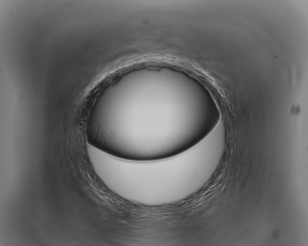 X0000096141496200801180840