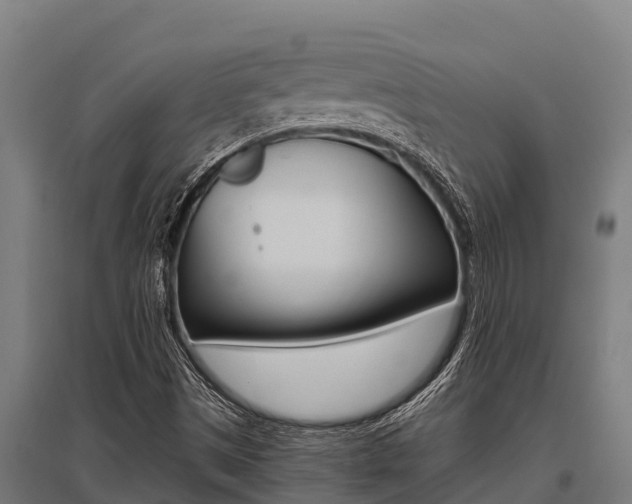 X0000096141497200801180840
