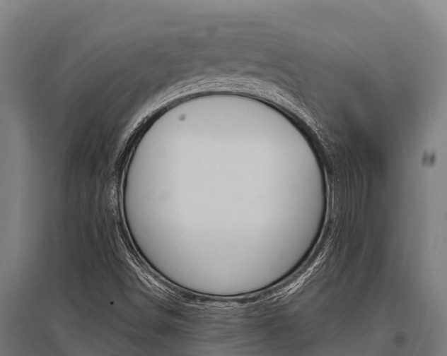 X0000096141498200801180840