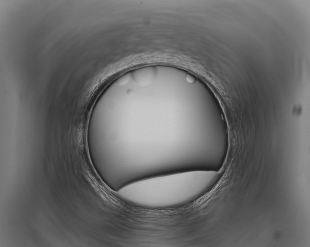 X0000096141499200801180840