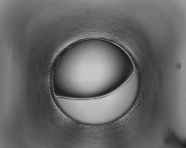 X0000096141500200801180840