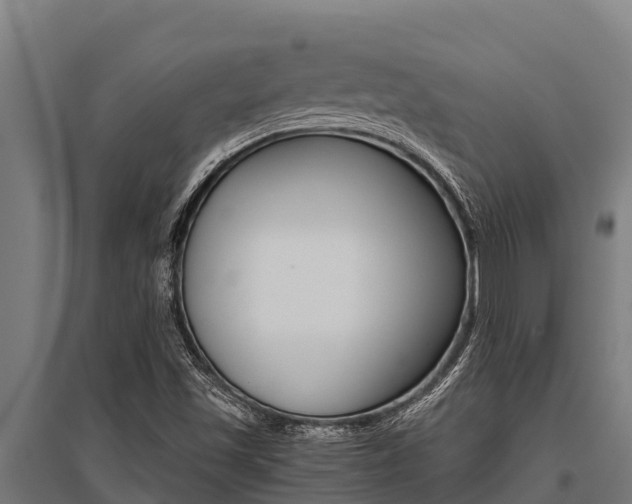 X0000096141501200801180840