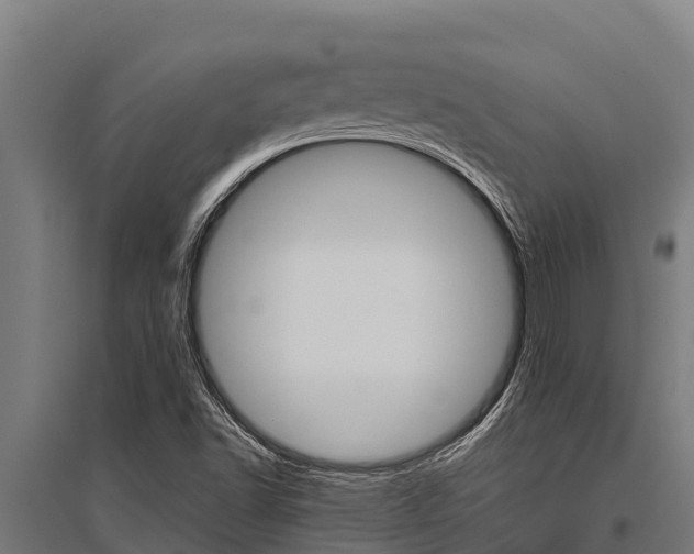 X0000096141502200801180840