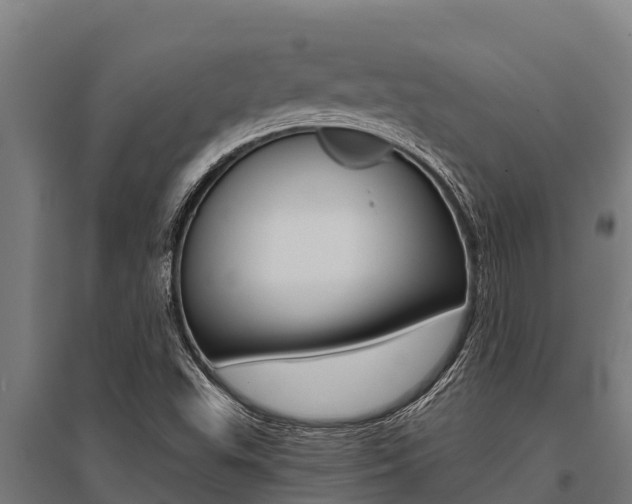 X0000096141503200801180840