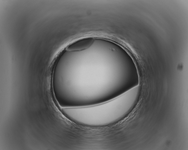 X0000096141504200801180840