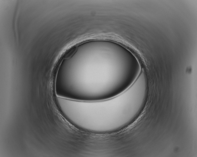 X0000096141506200801180840