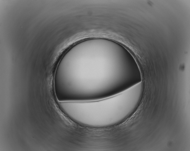 X0000096141507200801180840