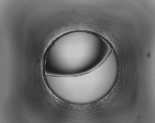 X0000096141508200801180840
