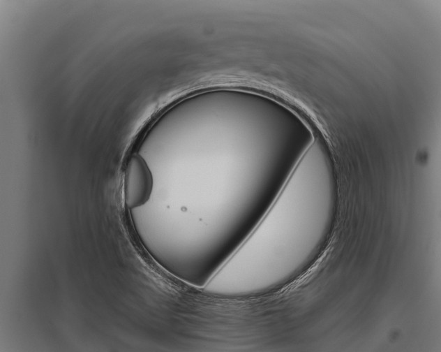 X0000096141509200801180840