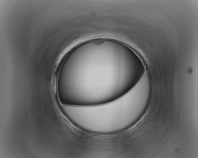 X0000096141510200801180840