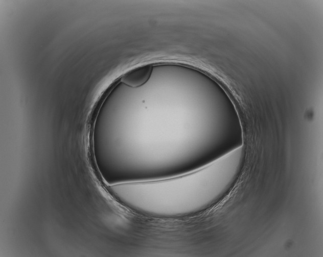 X0000096141511200801180840