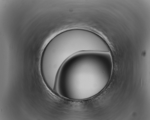 X0000096141512200801180840