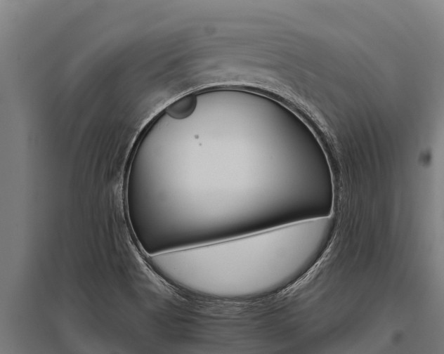 X0000096141513200801180840