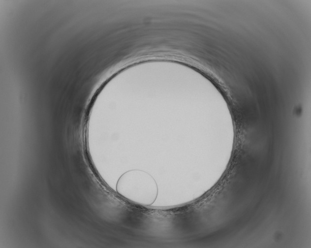X0000096141514200801180840