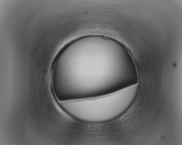 X0000096141515200801180840