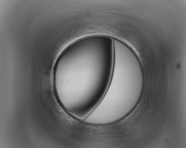 X0000096141516200801180840