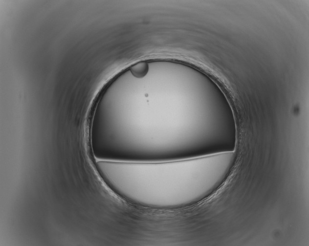 X0000096141517200801180840