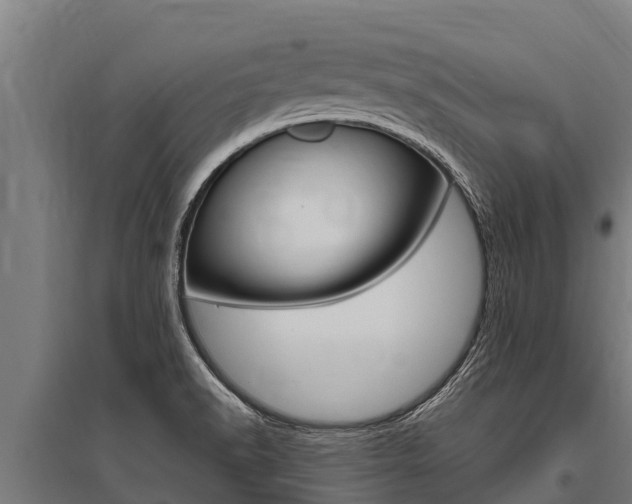 X0000096141518200801180840