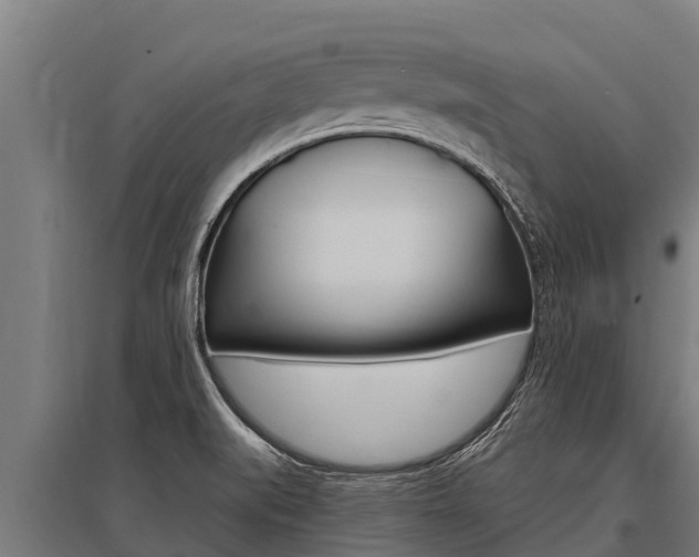 X0000096141519200801180840