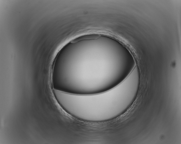 X0000096141520200801180840