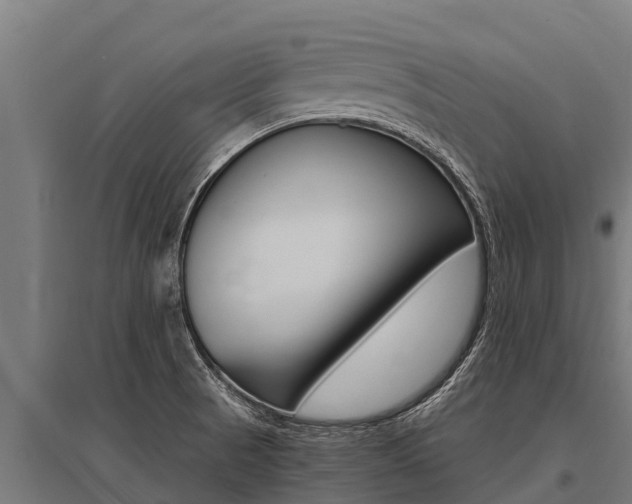 X0000096141521200801180840