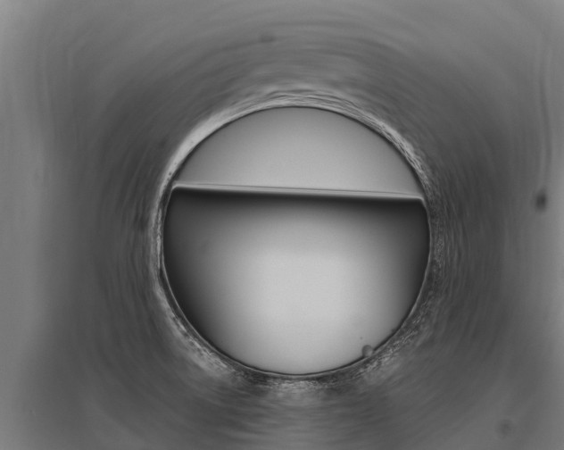 X0000096141522200801180840